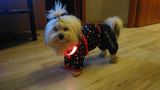 Safety Glowing Pet Harness With LED