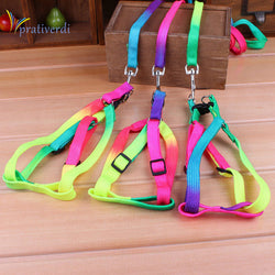 Safety Rainbow Leash and Harness Set